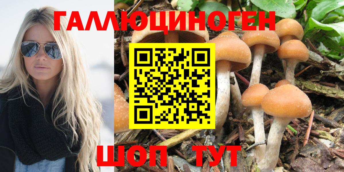 Псилоцибиновые грибы ЛСД Тара